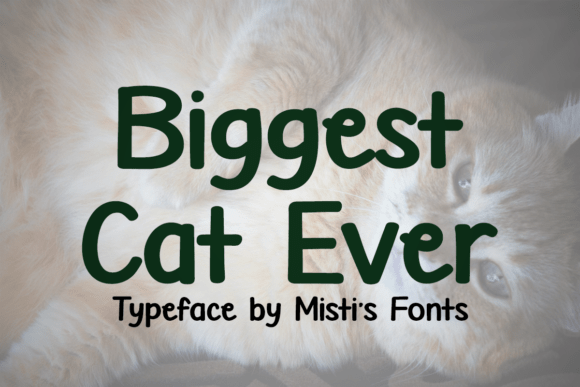 Biggest Cat Ever Font Review